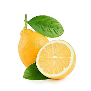 Limon, 1 sany