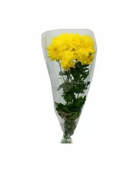 Çemen "Gündogar altyny"