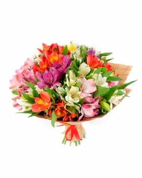 Çemen "Baharyň ylhamy"