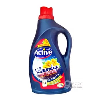 Suwuk kir ýuwujy Active home "Laundry", 2,5lt