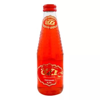 Alkagolsyz gazlandyrylan içgi Özi "Ýertudana", 250 ml