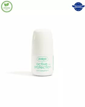 Işjeň gorag Antiperspirant 60 ml