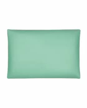 Greçka erikleri bilen doldurylan ýassyk Activity 60x40 sm, Faberlic 11300