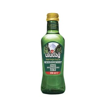 Gazlandyrylan mineral suwy Uludag Doğal Maden Suyu, 250 ml