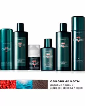 Erkekler üçin sowgat toplumy Lancelot