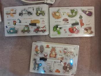 Zehin ösdüriji "Gök-önümler", "Haýwanlar", "Ulaglar" 1 sany