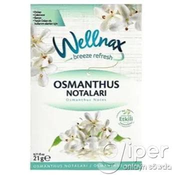 Asylýan ys berijisi Wellnax "Osmanthus Notaları" 21 gr