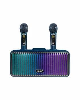 Колонка SDRD SD319PRO с двумя микрофонами