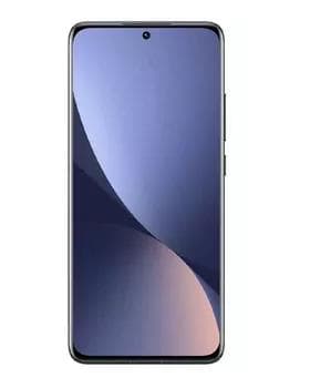 MAXFONE 308