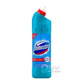 Uniwersal arassalaýjy gel Domestos "Kristal arassalygy", 750 ml (Eýran)
