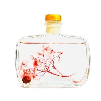 Öý üçin howa yslandyryjy diffuzor BETI Premium "Hilton", 100 ml