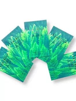 Противовоспалительный тоник с чайным деревом SKIN1004 Madagascar Centella Tea-Trica Purifying