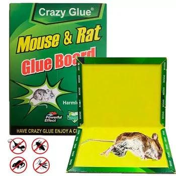 Mör-möjeklerden goranmak üçin serişde "Mdusg & Rdt", 1 sany