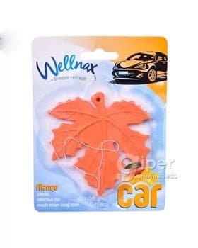 Awtoulaglar üçin ys beriji Wellnax "Mango", 20 gr