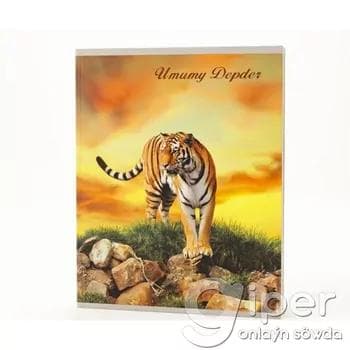 Umumy depder 36 sahypa, liniýa 1 sany (dürli görnüşli)